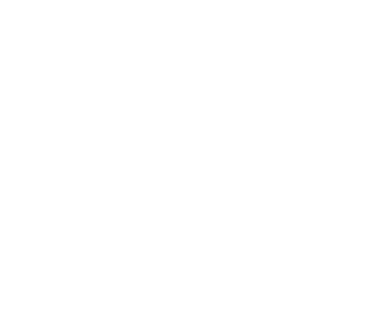 ANKY STUDIO