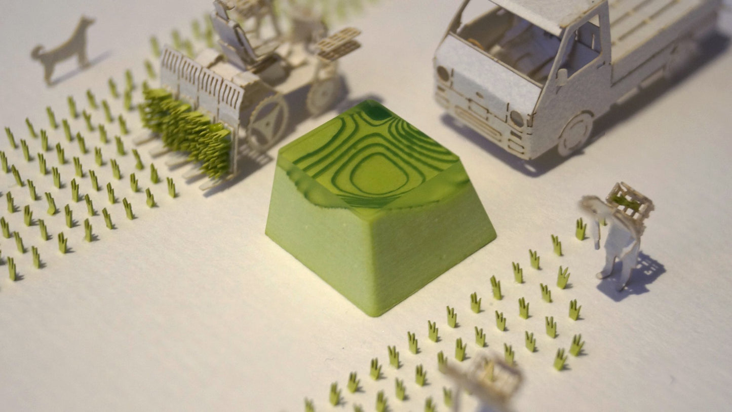 Infinite Topo - Rice Paddy