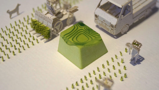 Infinite Topo - Rice Paddy